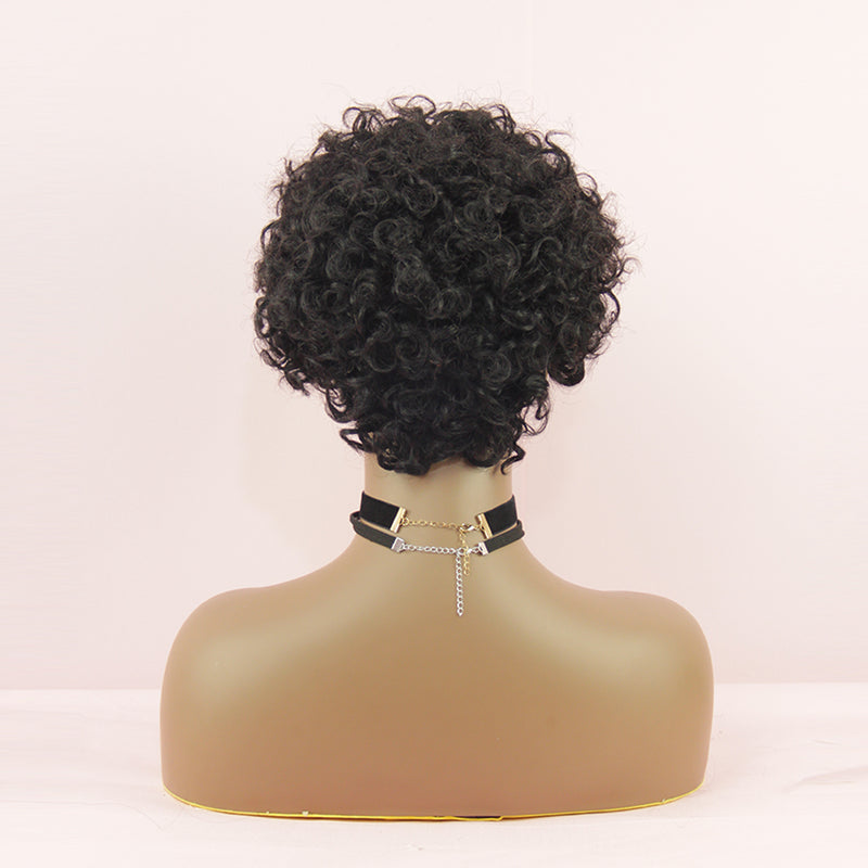 Pixie Cut Wig Short Afro Curly Lace Human Hair Wigs Preplucked Bouncy Curly Bob Wig BIBHAIR - bibhair